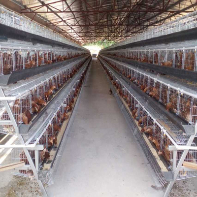 Batteria animale degli uccelli della gabbia 250 del pollo di strato di Tires dell'azienda avicola 5