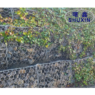 Il PVC ha ricoperto i canestri galvanizzati del gabbione fa il giardinaggio rete metallica di filo di ferro 2*1*1m