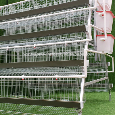 Strato galvanizzato Cage di pollo Batteria di pollo 3 / 4 livelli con sistema automatico
