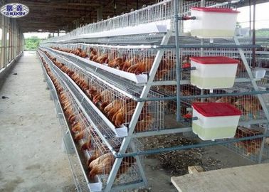 4 livelli 128 uccelli strato gabbia di pollo galvanizzato allevamento di polli per polli