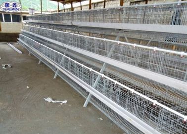 Tempo di lunga vita di progettazione della gabbia del pollo di 3 strati/della gabbia avicoltura di strato