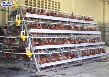 La gabbia del pollo di strato di 10000 uova/la gabbia di strato azienda avicola ha personalizzato il servizio