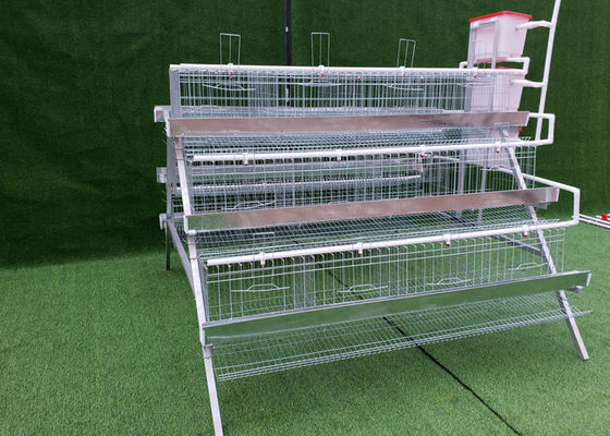 Il tipo 96 uccelli di Q235 A mette a strati Hen Cages For Kenya Farm