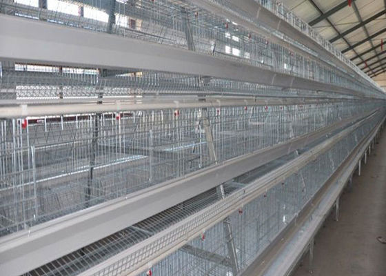 La grande capacità ha galvanizzato lo strato automatico Hen Cages For 160 polli