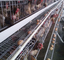 Camera di pollo galvanizzata calda dell'azienda avicola dell'uovo della gabbia di strato di 4 file