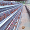 Allevamento di tipo A Mini gabbie per pollame Strato di pollo 4 Uccelli di livello 160