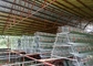 3 Tires 4 stanze 500-1000 gabbie crescere del pollo degli uccelli per le aziende agricole filippine