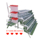 Q195 Zincplating Quail Laying Cages Galvanizzato Tipo A / Tipo H