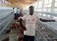 La gabbia del pollo di strato dell'uovo, pollame delle galline Metal la gabbia del pollo per il Kenya