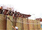 Barriera militare di HDG dell'inondazione d'acciaio della parete della sabbia del bastione con il geotessuto