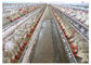 Gabbia del pollo da carne di avicoltura Q235 con il certificato del CE