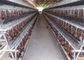 Gabbie crescere d'agricoltura automatiche galvanizzate del pollo Q235
