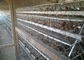 Il tipo di H ha galvanizzato la gabbia automatica del pollo del laer dell'azienda avicola di bettery per il mercato del Sudafrica