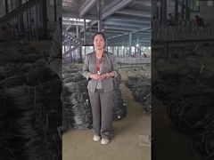 Invisibile Wire Mesh Workshop Show