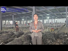 Introduzione e esposizione di reti di barriere antitanco