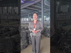 Introduzione e esposizione del laboratorio di MZP