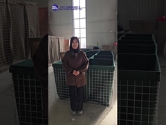 Diversi modelli di dimostrazione e spiegazione della barriera difensiva