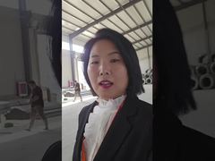 Filo spinato a doppia spirale con filo spinato zincato a caldo Cbt65 Bto30 Bto-22