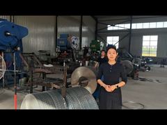 Recinzione in filo spinato con rasoio a croce in acciaio inossidabile BTO-16 BTO-22 BTO-60 CBT-65 Recinzione in filo spinato con lama di rasoio