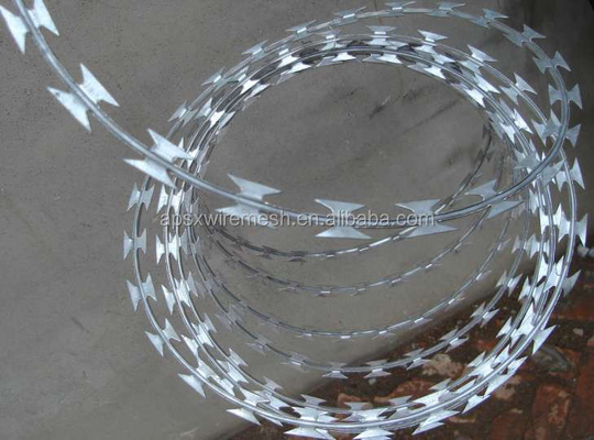 Proteggi la tua proprietà con un singolo filone da rasoio a spirale militare e privato
