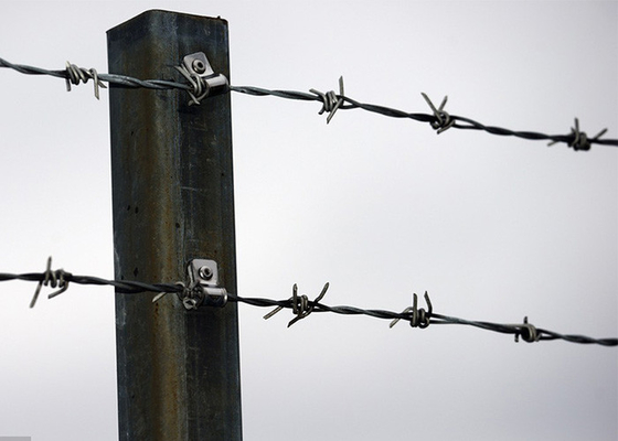 Utilizzo delle pareti della prigione anti-arrampicata galvanizzata a filo spinato