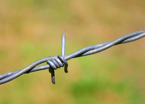 Utilizzo delle pareti carcerarie filo unico di filo di filo spinato in acciaio inossidabile prezzo per rotolo