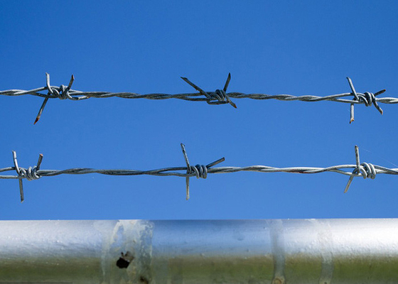 Utilizzo delle pareti carcerarie filo unico galvanizzato a caldo filo spinato di acciaio