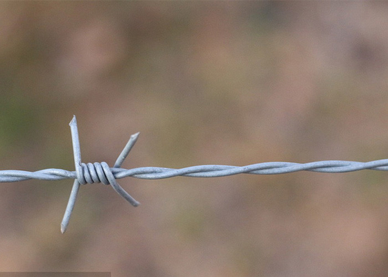 Cornice di filo spinato tradizionale a doppio filo anti-furto