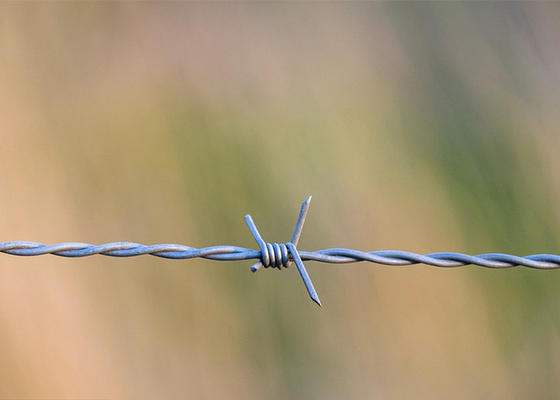 Protezione agricola fili singoli galvanizzati a caldo prezzo per rotolo
