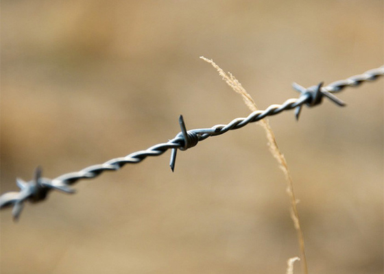 Protezione delle aziende agricole bobine di filo spinato galvanizzato a caldo