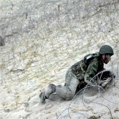 Fence di ferro galvanizzato di alta sicurezza anti arrampicata