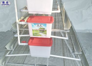 Amichevole eco- bevente automatico del sistema della gabbia dell'azienda agricola di pollo di avicoltura