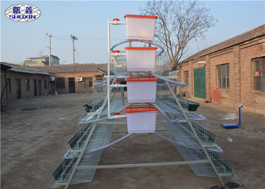 Caratteristica galvanizzata gabbia automatica del pollo di strato un tipo progettazione per l'azienda agricola