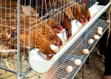 Gabbia in batteria del pollo di strato dell'uovo, sistema della gabbia di strato del pollame delle galline ovaiole dell'azienda agricola