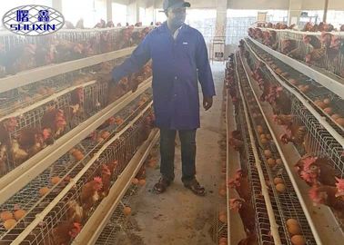 A / La H scrive la gabbia a macchina del pollo di strato con il sistema automatico per l'attrezzatura di avicoltura