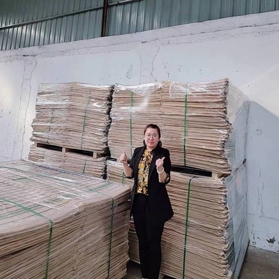 Materiale geotessile resistente ai raggi UV Hesco Barriera muraria Bastione Barriera militare Cesto di recinzione Contenitore di sabbia