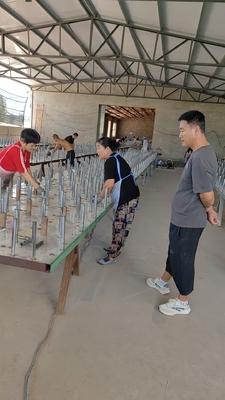 Vendita di rete di bobinatura di serbatoi di barriera di protezione della pista di rete di rete di rete di rete di rete di rete a bassa visibilità