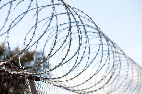 Cavo spinato galvanizzato a caldo per isolamento protettivo