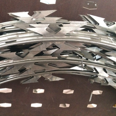 Prezzo competitivo Galvanizzato Razor Bared Wire Concertina Barbed Protective Fence