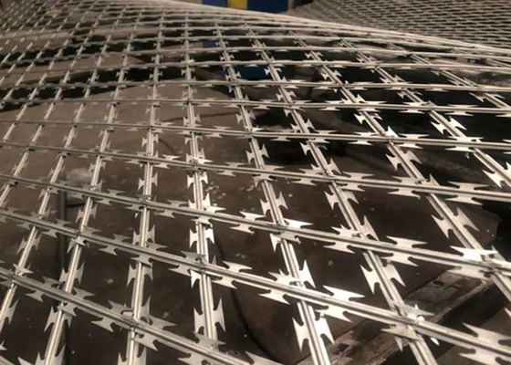 Nuovo tipo di rete protettiva di filo spinato di diametro filo spinato per strutture di sicurezza
