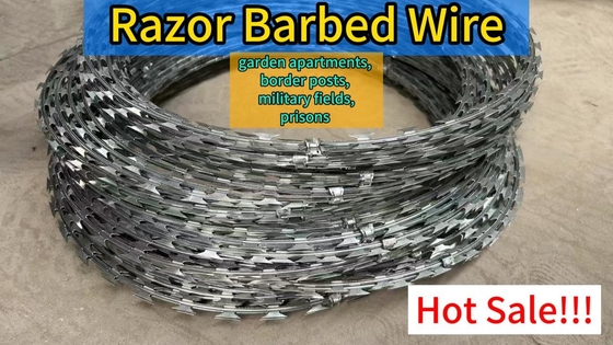 Produttore Fornitura di 500 mm di diametro di bobina Concertina Razor Barbed Wire