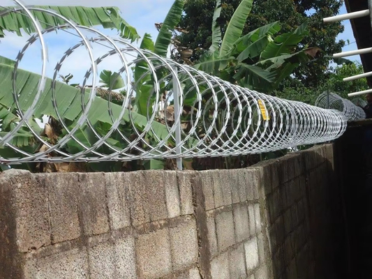 2024 KN Proteggere recinzione rasoio rete di filo spinato 2,5 mm In Kenya Sud Africa Zimbabwe