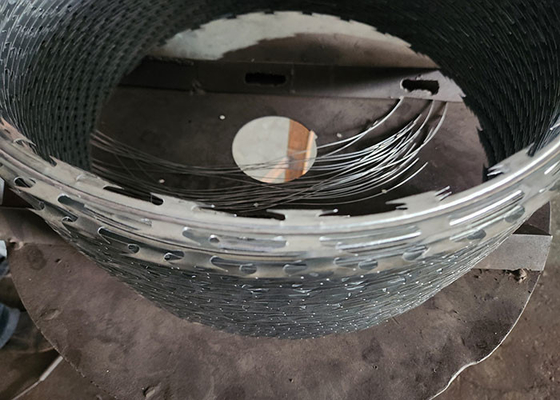 Acciaio galvanizzato doppiamente torto PVC rivestito Razor Fencing Wire Wall Spike
