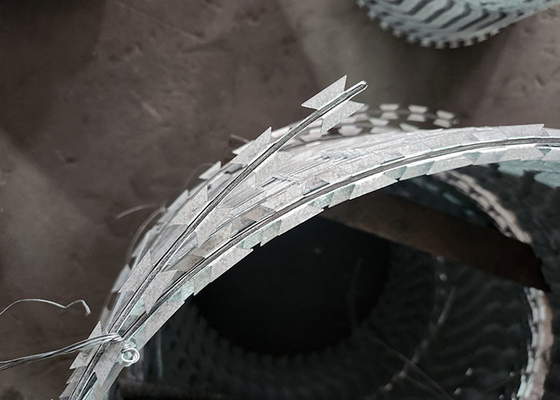 2024 KN Proteggere recinzione rasoio rete di filo spinato 2,5 mm In Kenya Sud Africa Zimbabwe