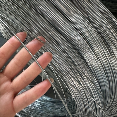 Produttore di alta qualità Mercato Sud America Filtro spinato a doppio filo spinato