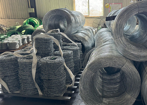 PVC o filo spinato galvanizzato per la protezione delle frontiere