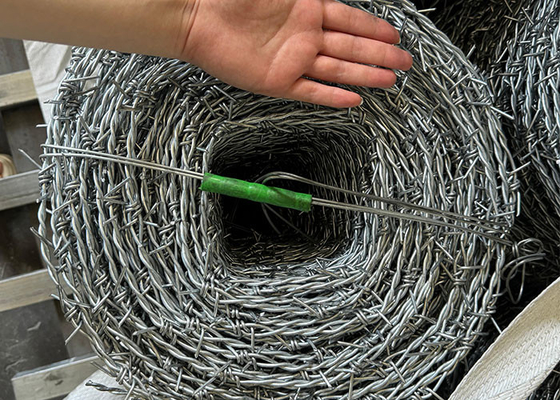 Antiarrampicata Anti-furto Anti-ruggine Sicurezza filo spinato corda spinosa Allevamento agricolo