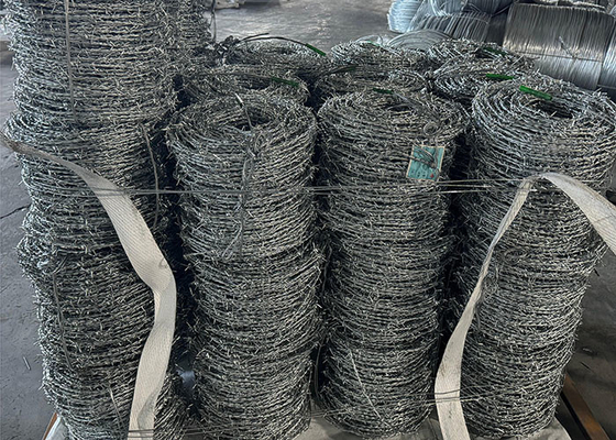 Antiarrampicata Anti-furto Anti-ruggine Sicurezza filo spinato corda spinosa Allevamento agricolo