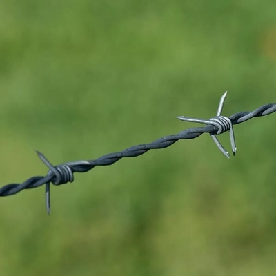 filo spinato galvanizzato prezzo di filo spinato galvanizzato 250m per rotolo rete metallica olandese ringhiera di protezione filo spinato tbar strumento di allungamento per filo spinato certificato CE