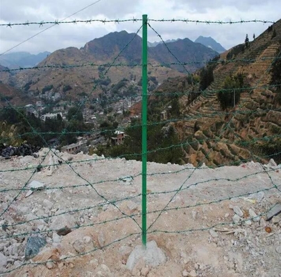 filo spinato galvanizzato prezzo di filo spinato galvanizzato 250m per rotolo rete metallica olandese ringhiera di protezione filo spinato tbar strumento di allungamento per filo spinato certificato CE